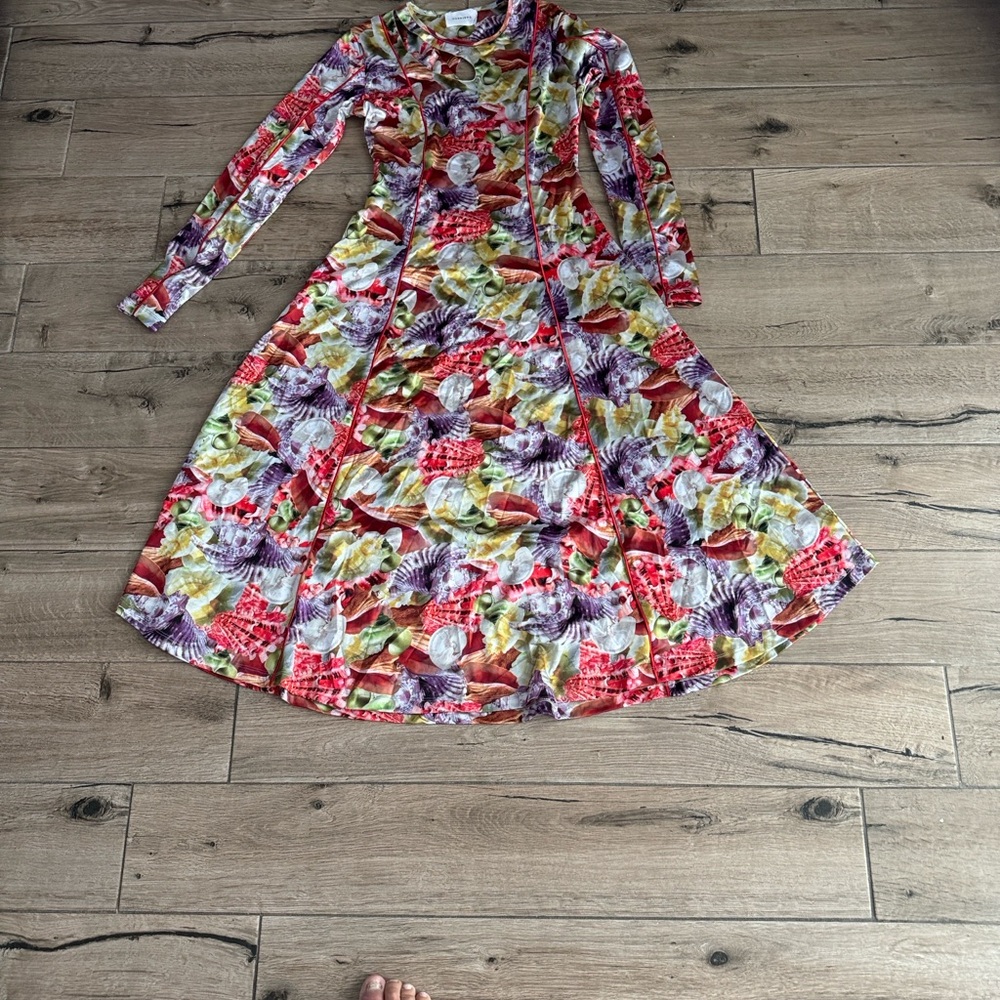 Women's Floral Multicolor Long Sleeve Midi Dress